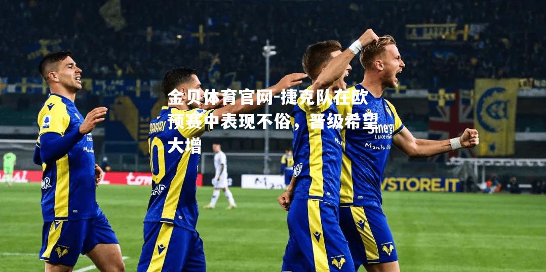 捷克队在欧预赛中表现不俗，晋级希望大增